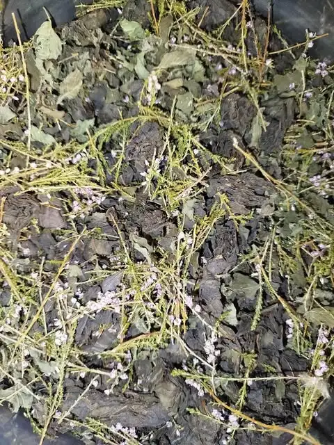 Ферментированные чайные сборы фото 7